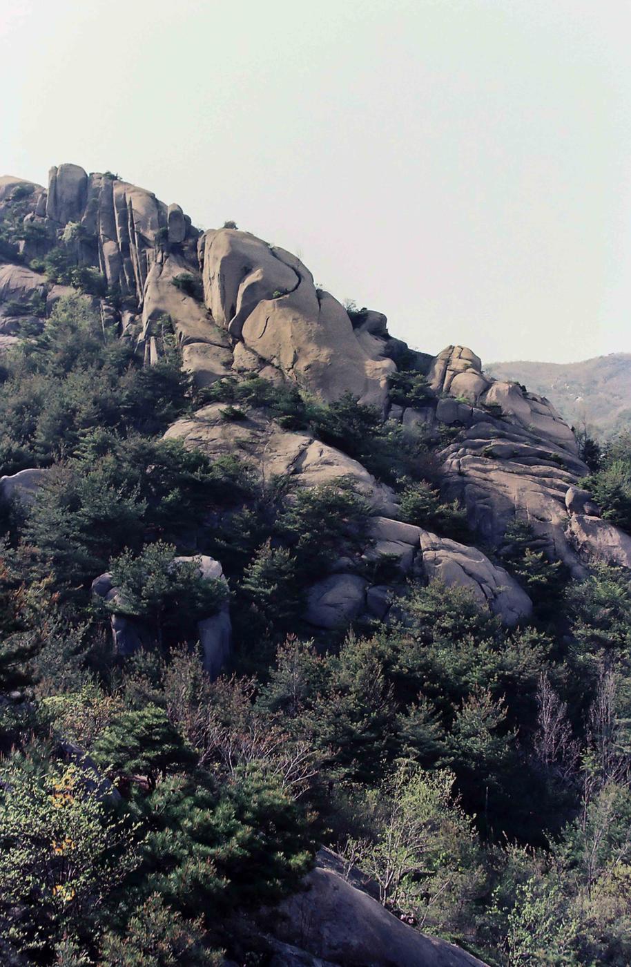 풍경