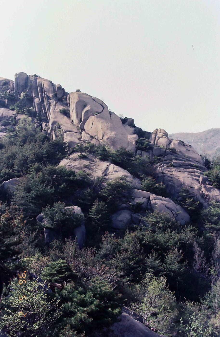 풍경