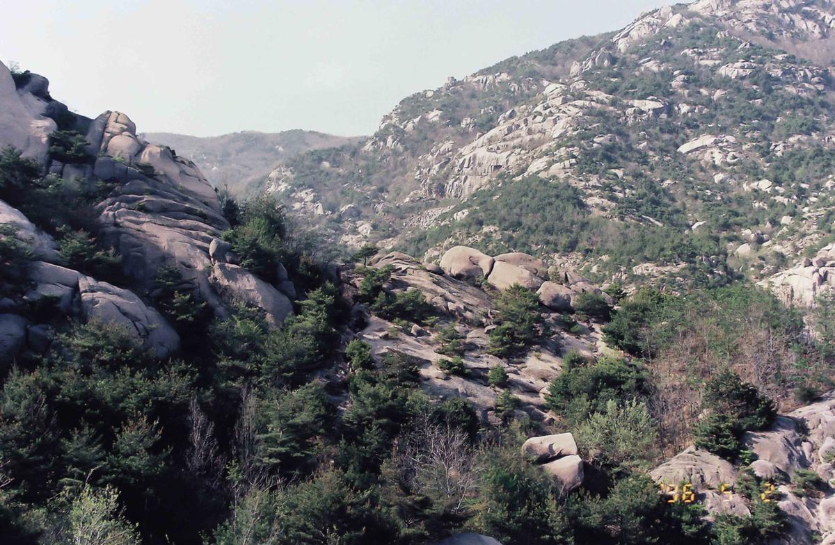 풍경