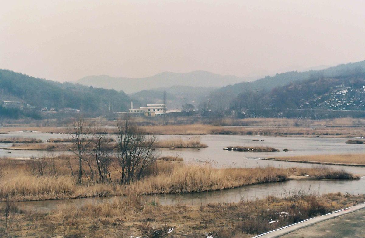 황강