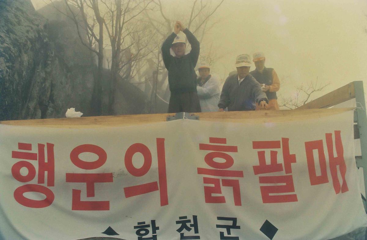 97 식목행사