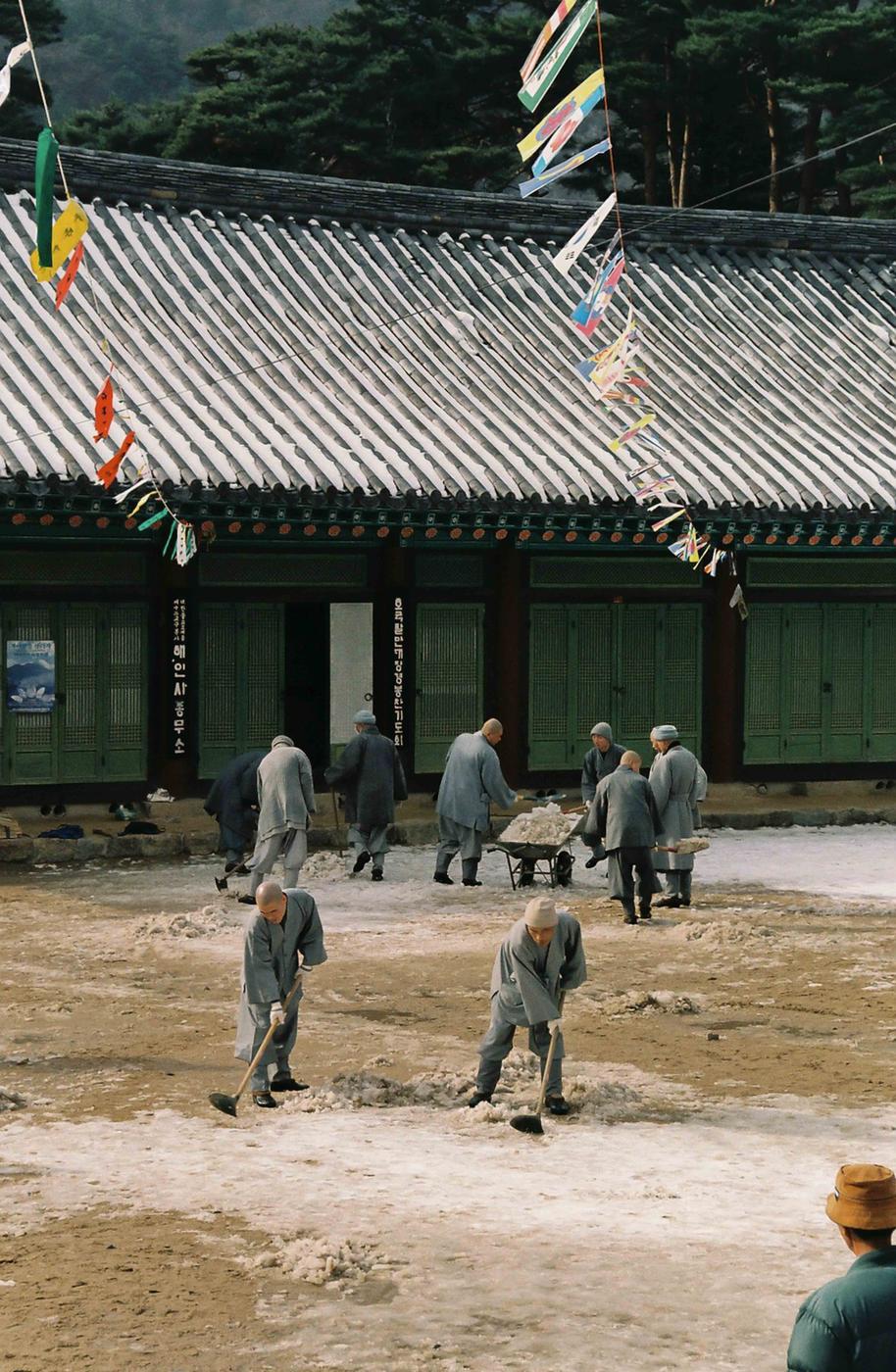 체험행사