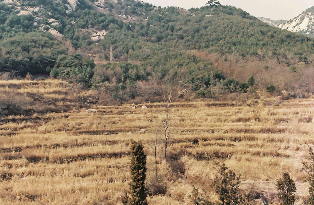 풍경