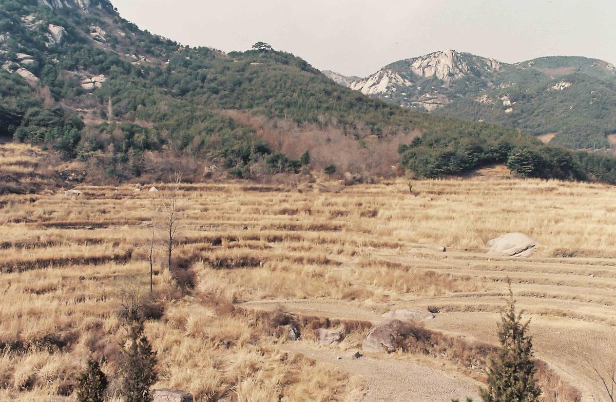 풍경