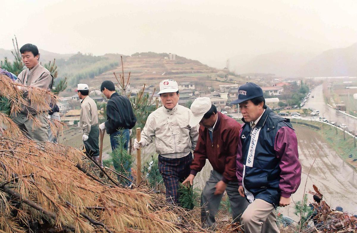97 식목행사