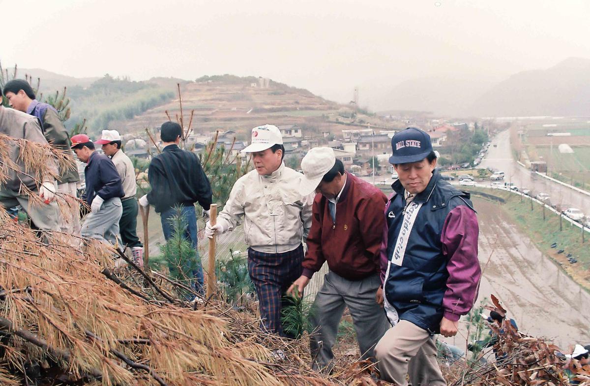 97 식목행사