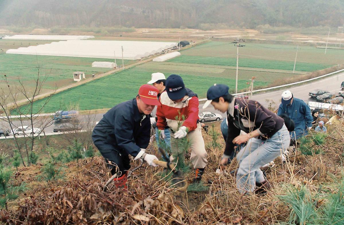 97 식목행사