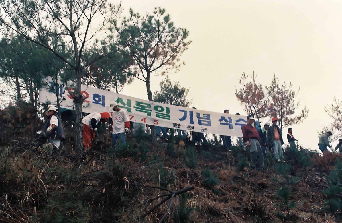 97 식목행사