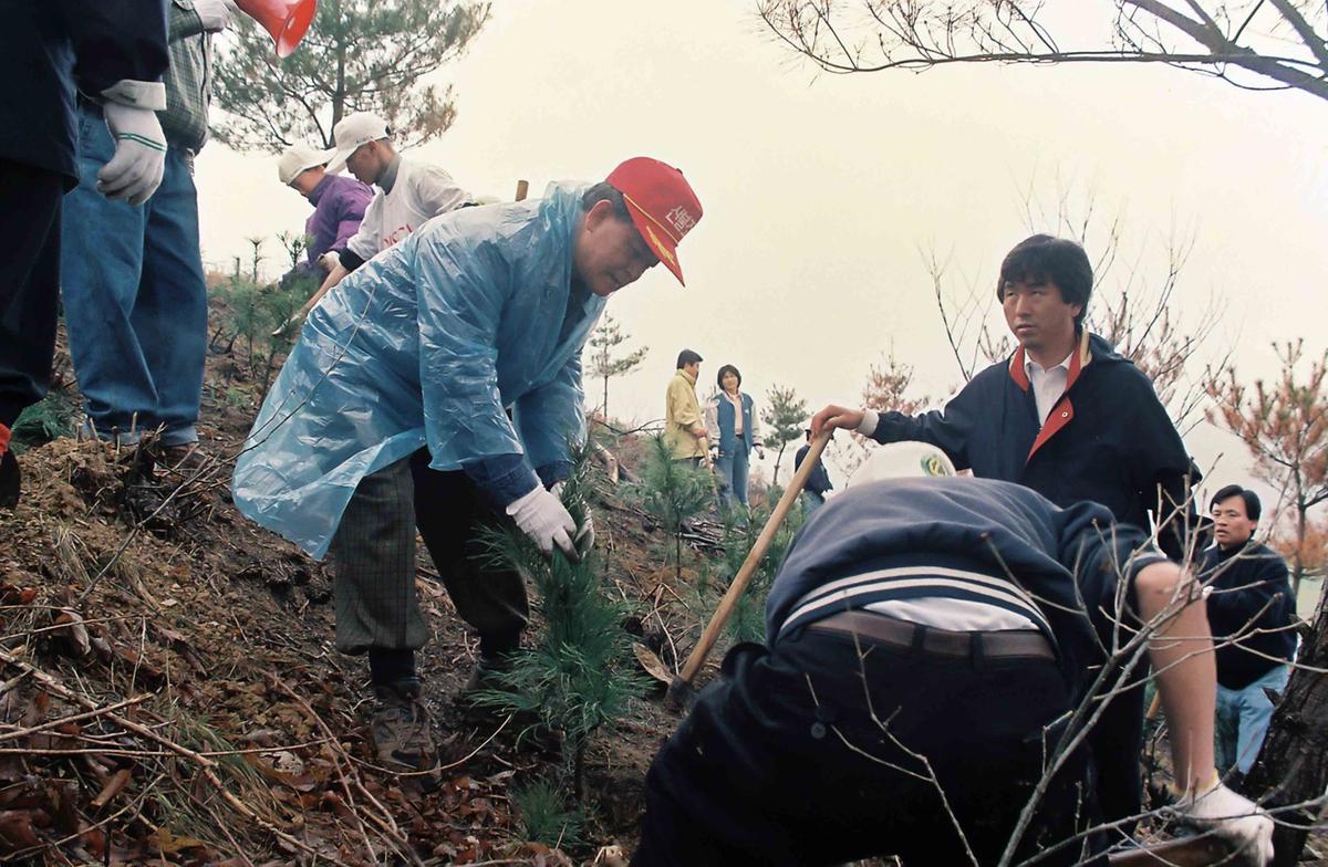 97 식목행사