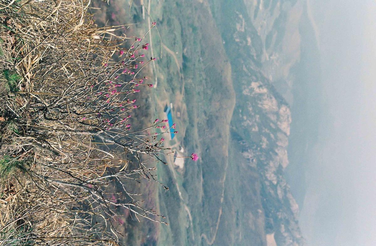 풍경