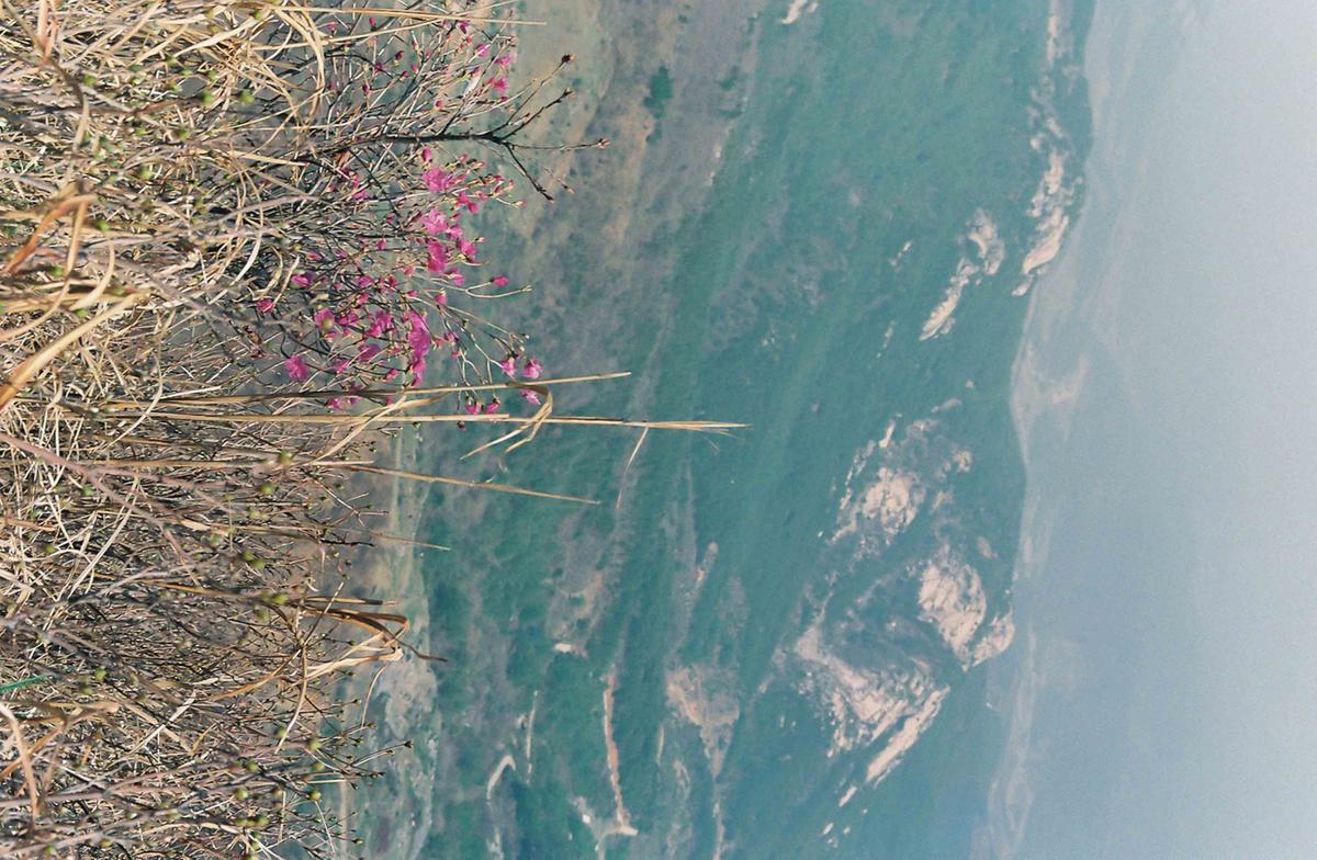풍경
