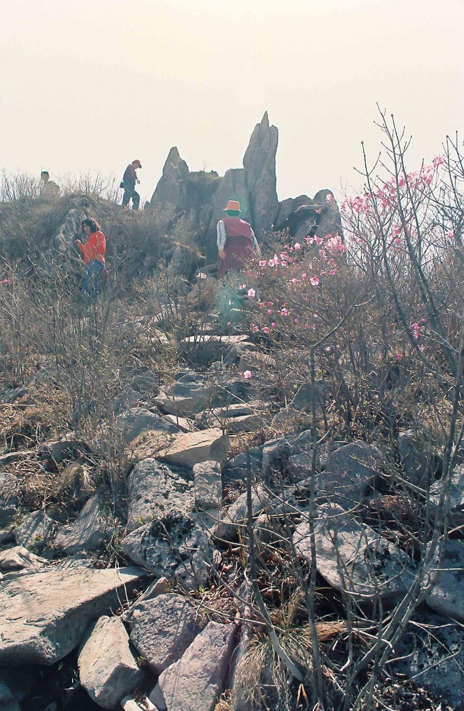 풍경