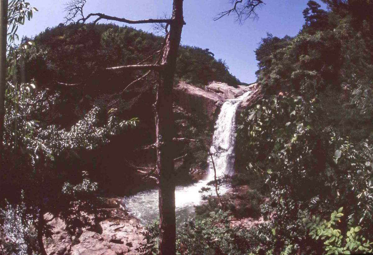 등산