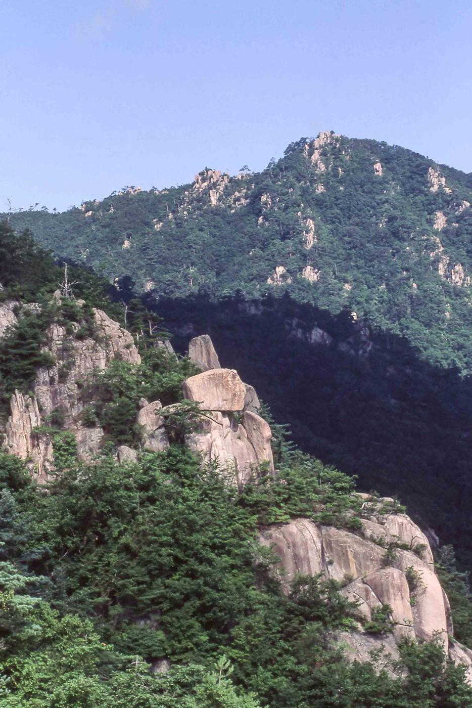 풍경