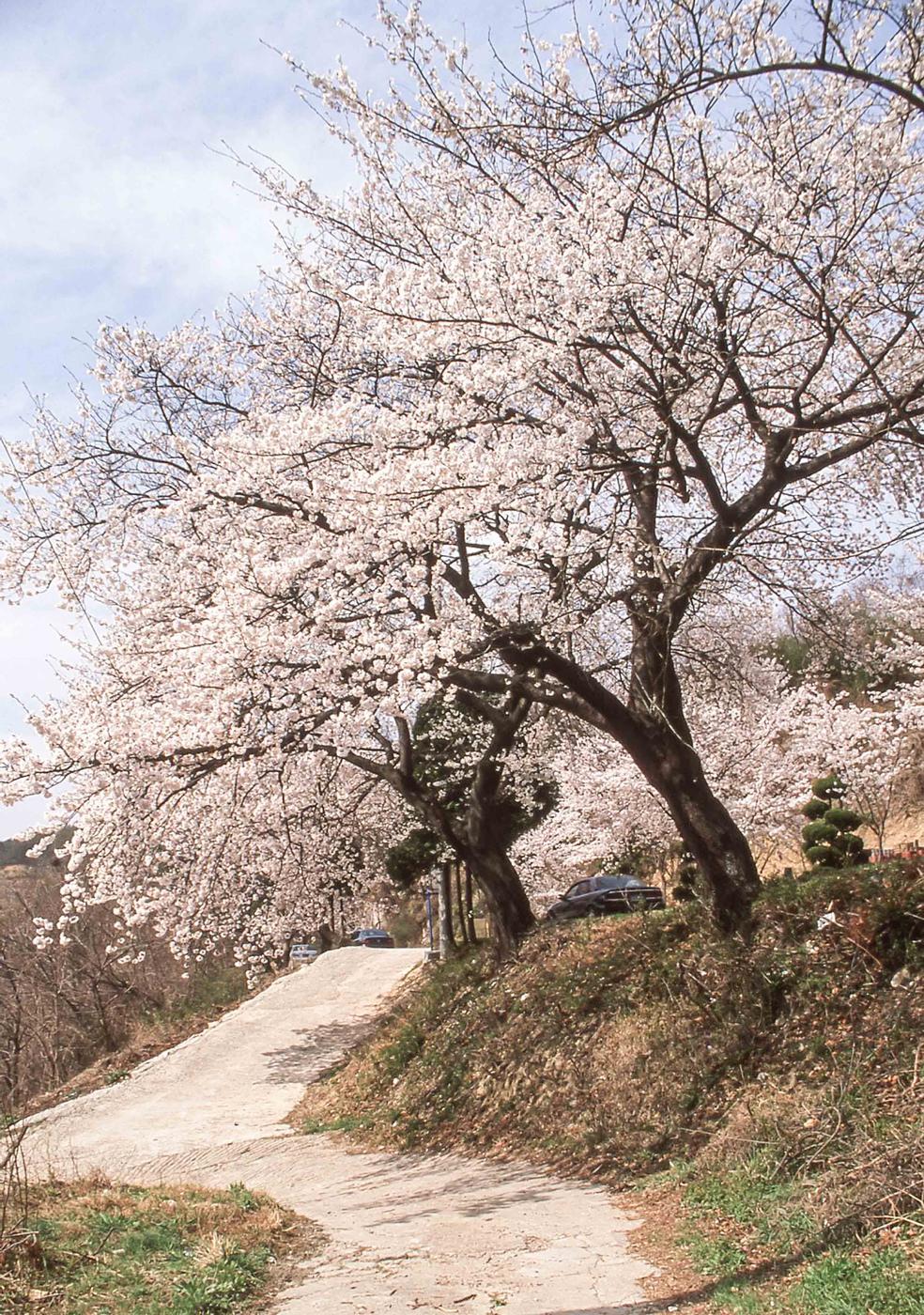 풍경