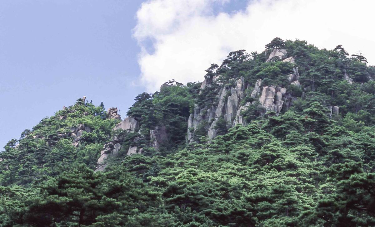 풍경