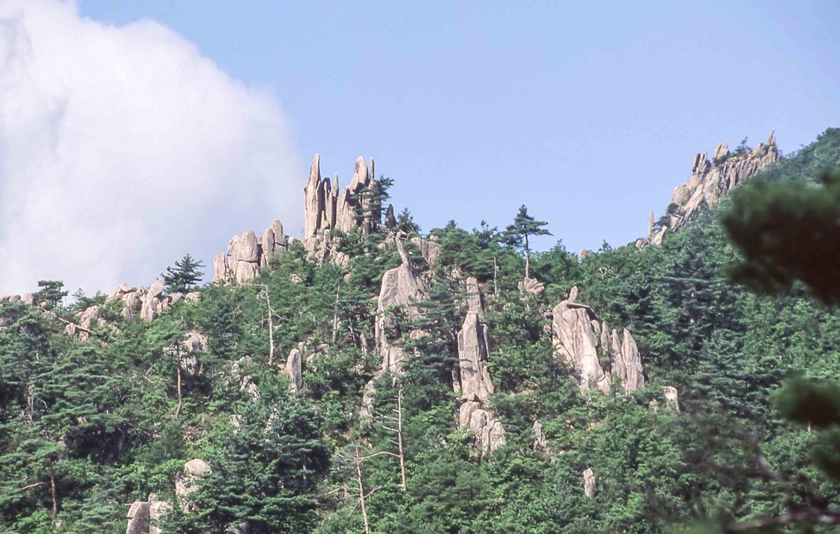 풍경