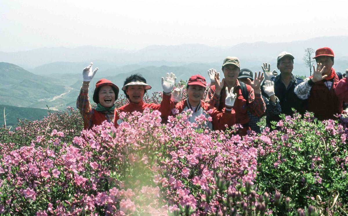 행사