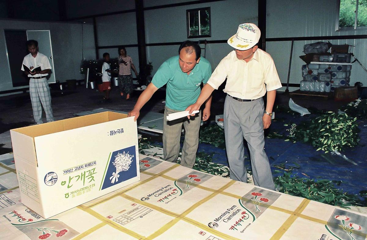 정례조회