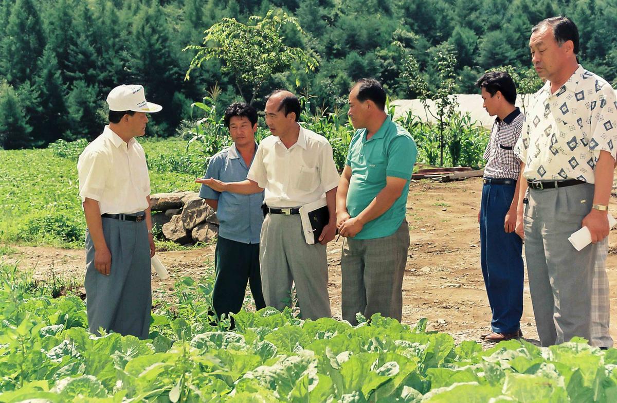정례조회
