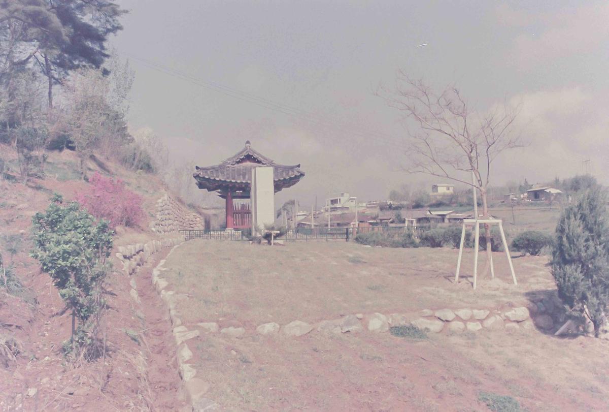 땅벌 87 훈련