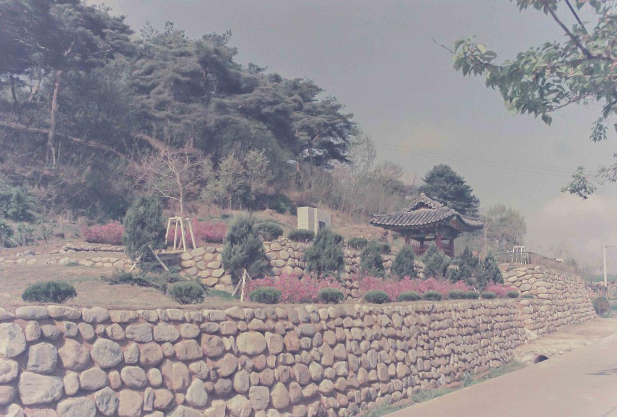 땅벌 87 훈련