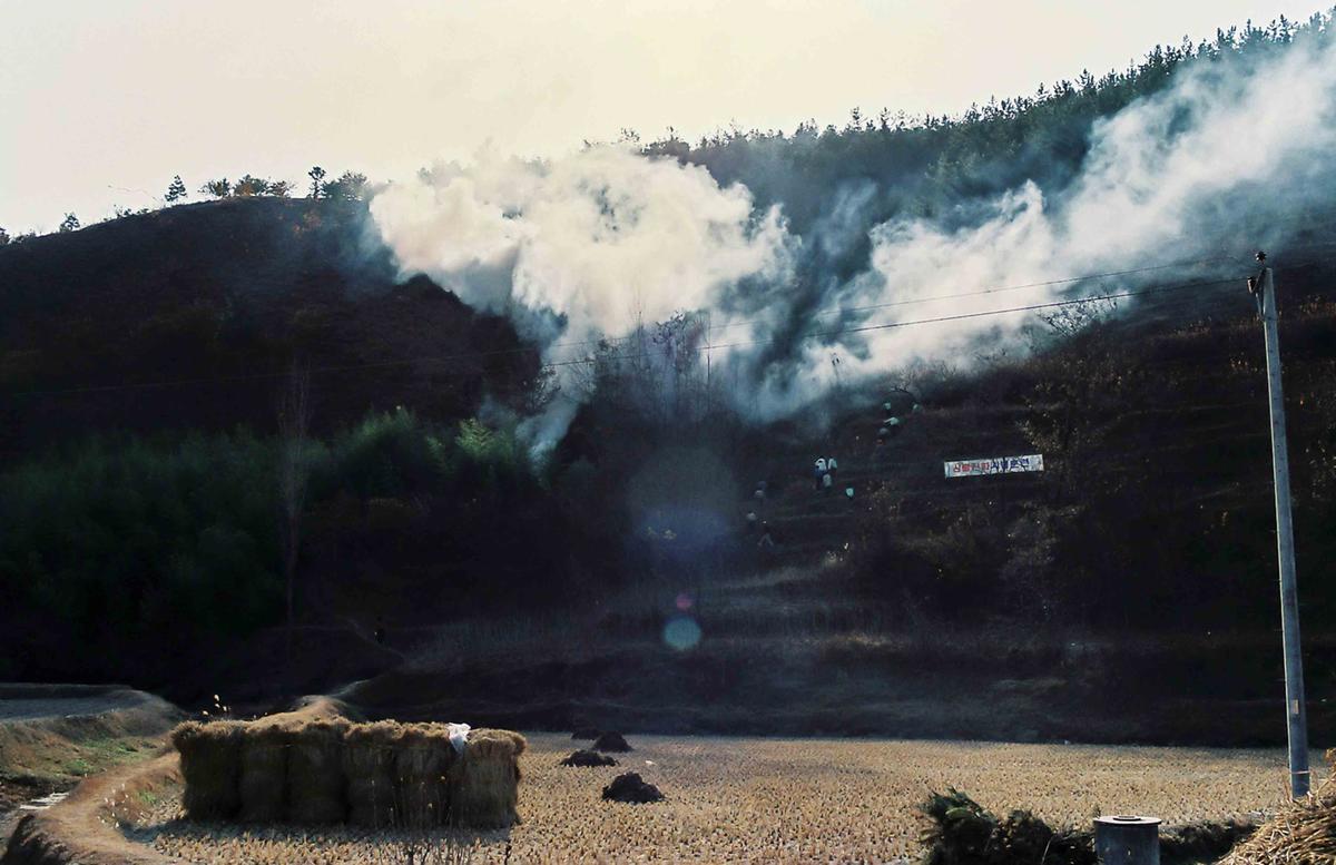 산불