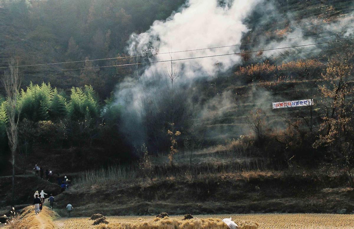 산불