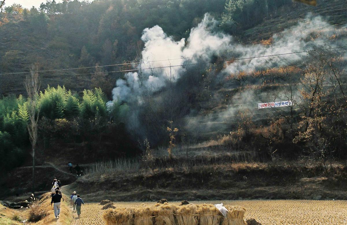 산불