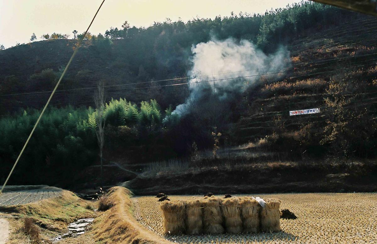 산불