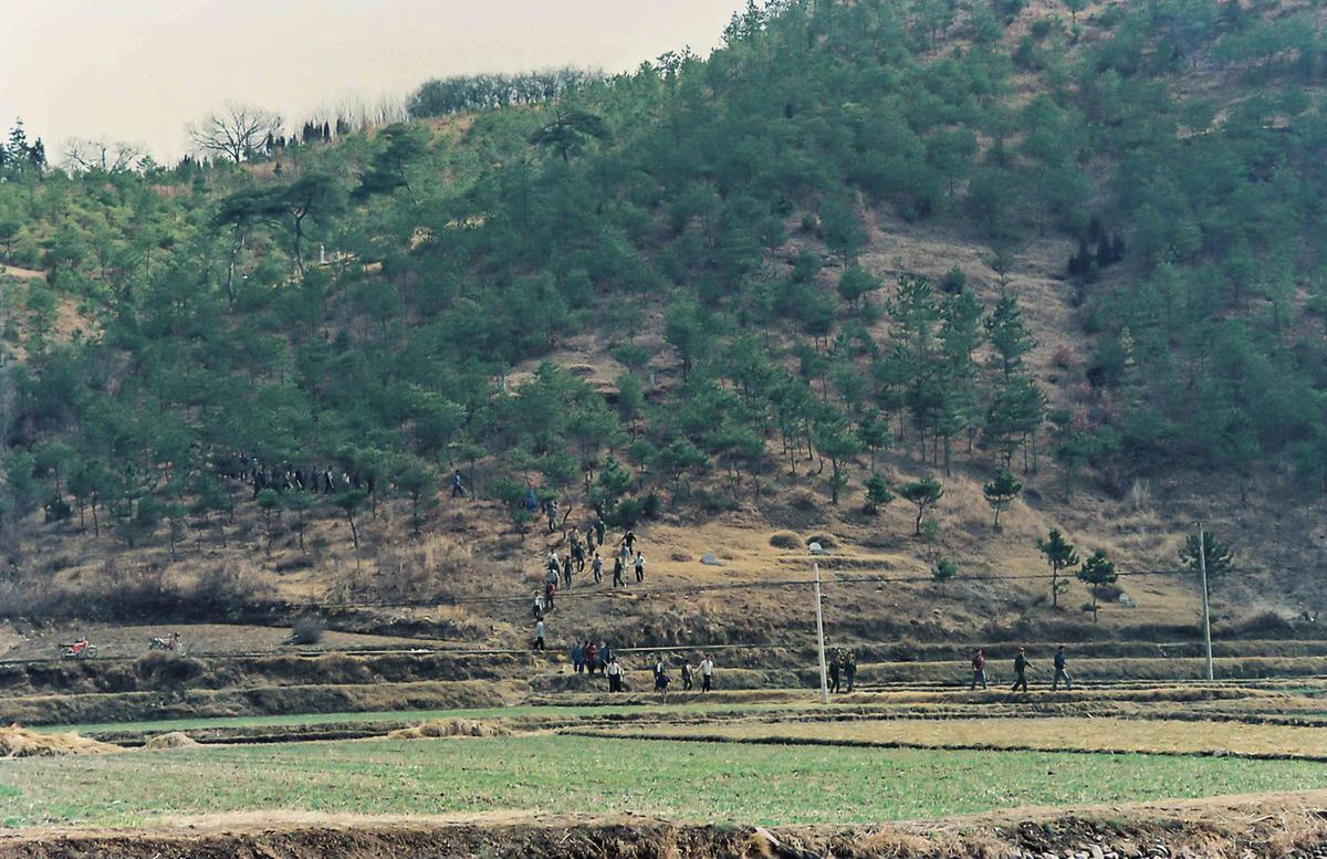 산불