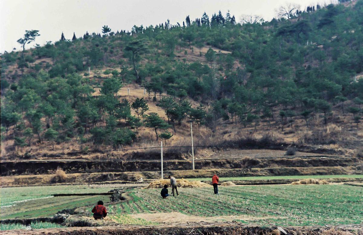산불