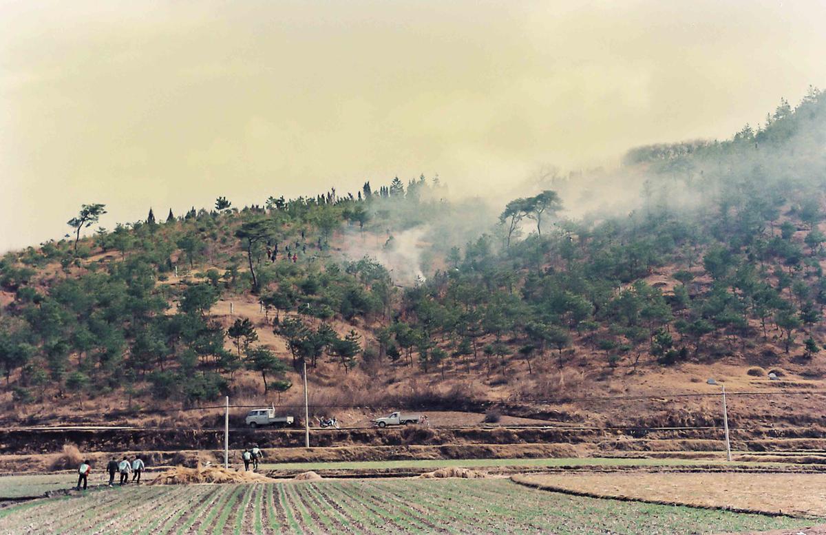 산불