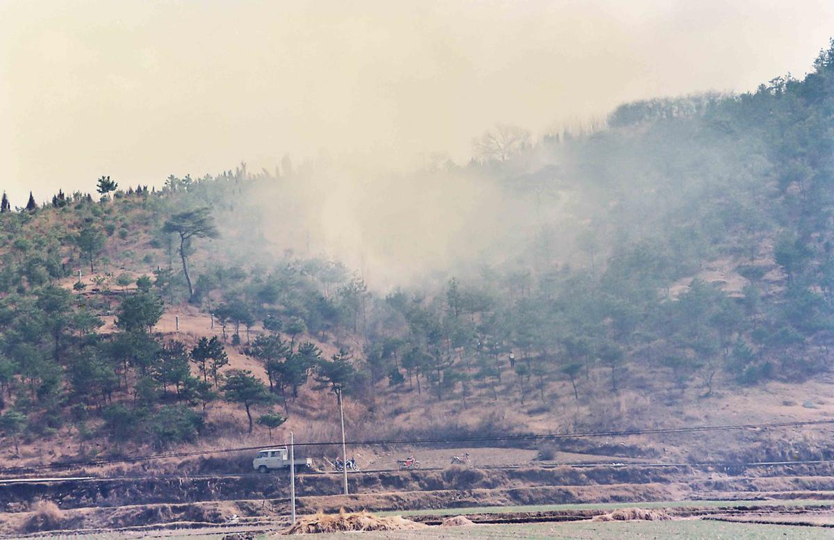산불