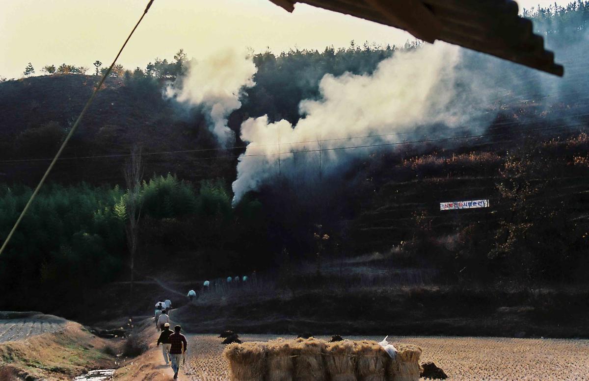 산불