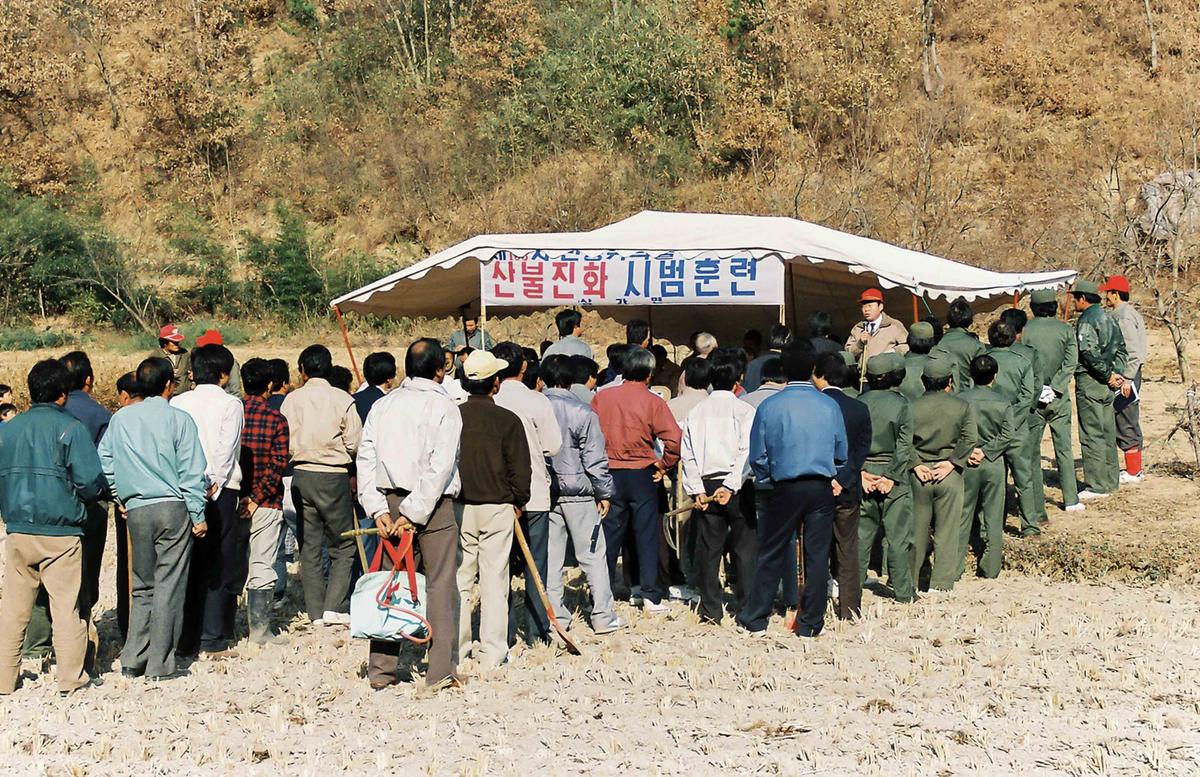 산불진화 시범훈련