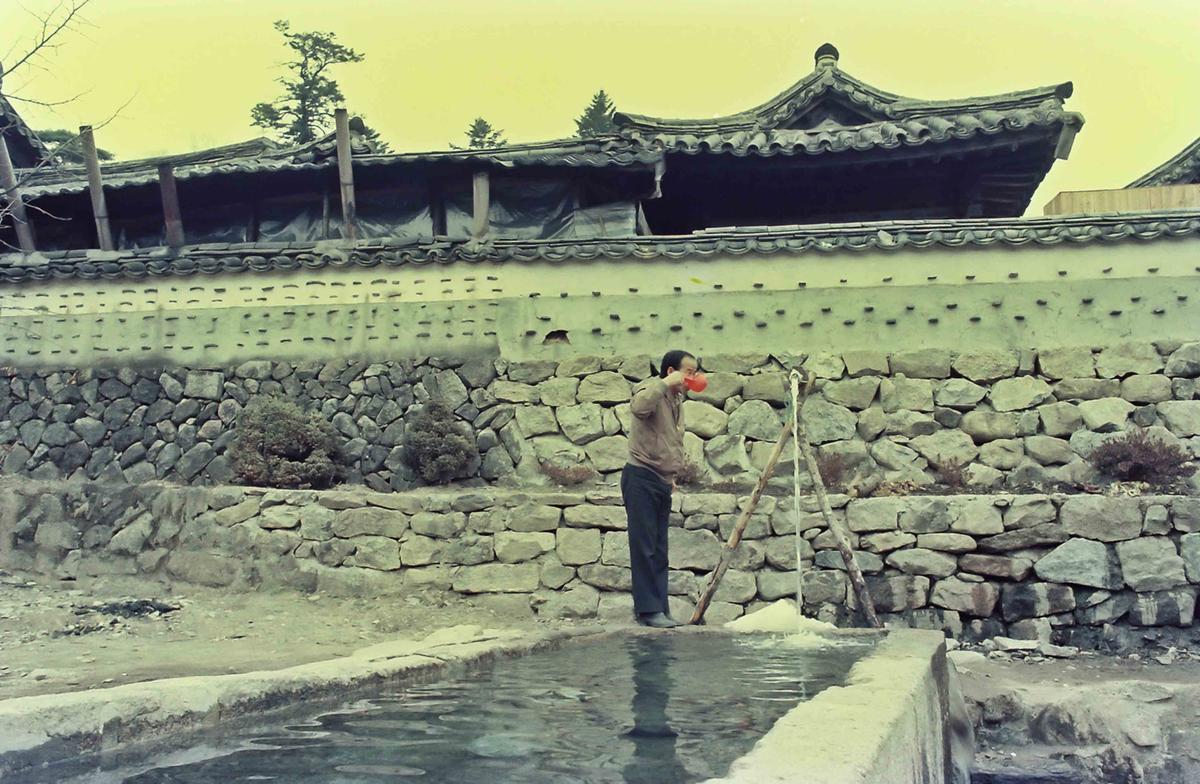 인물