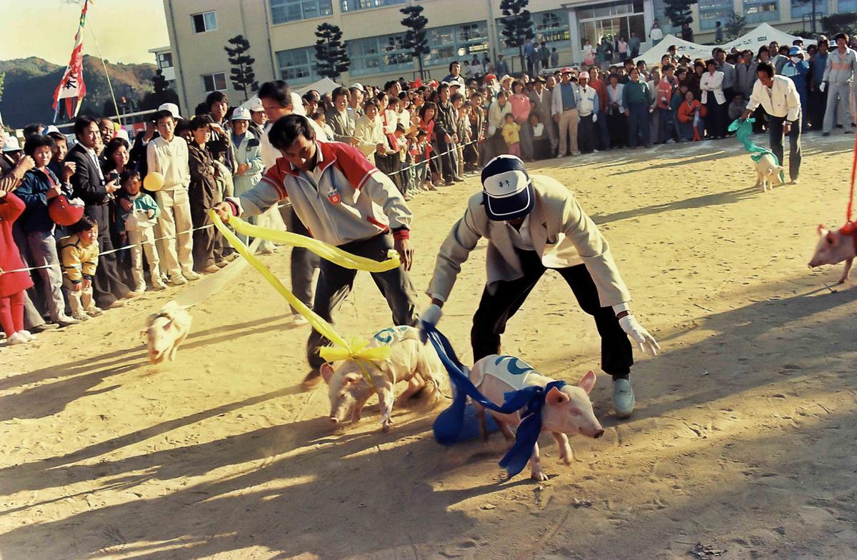행사