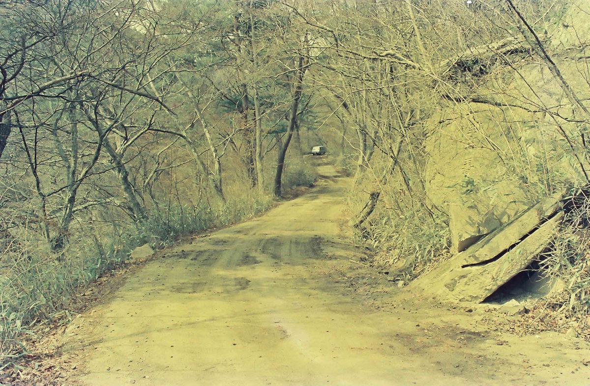 길