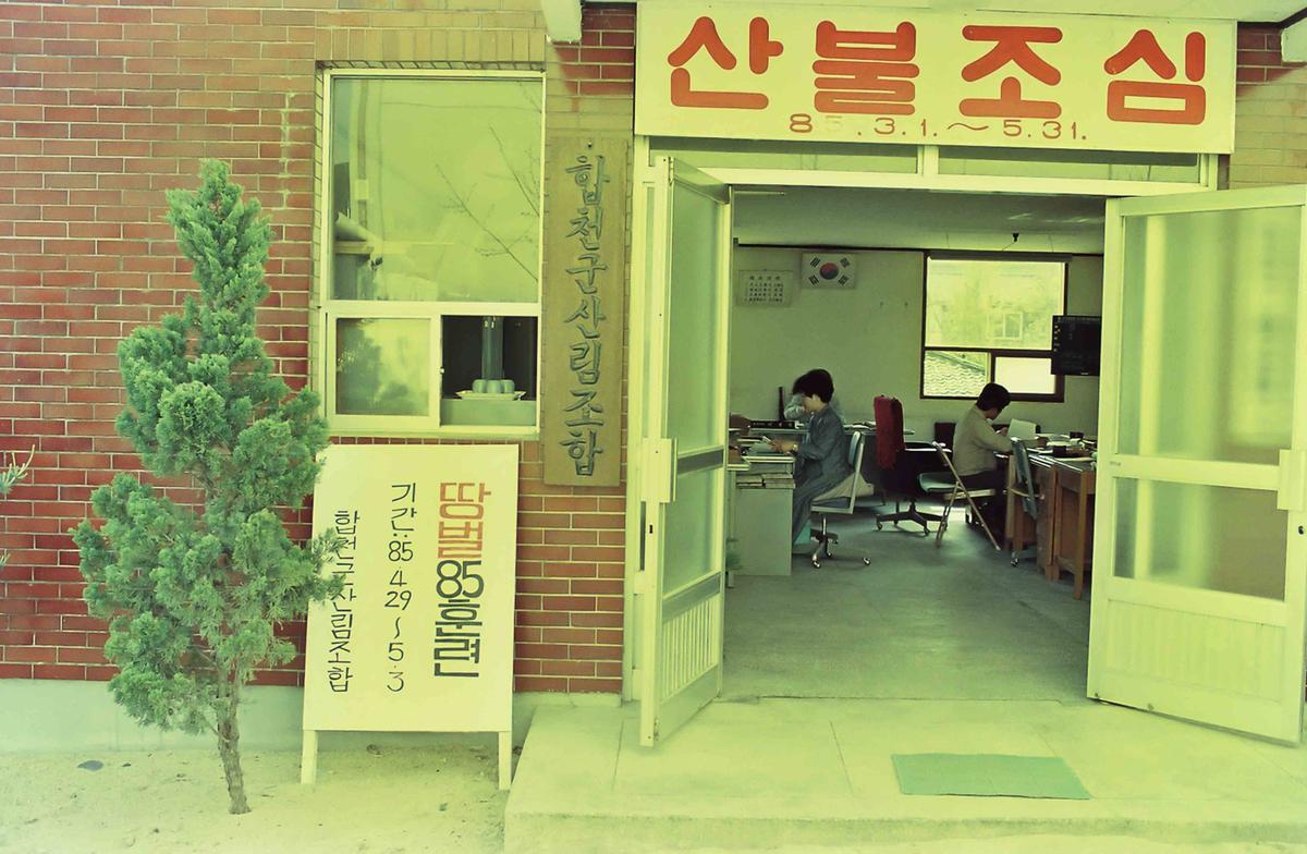 땅벌 85훈련