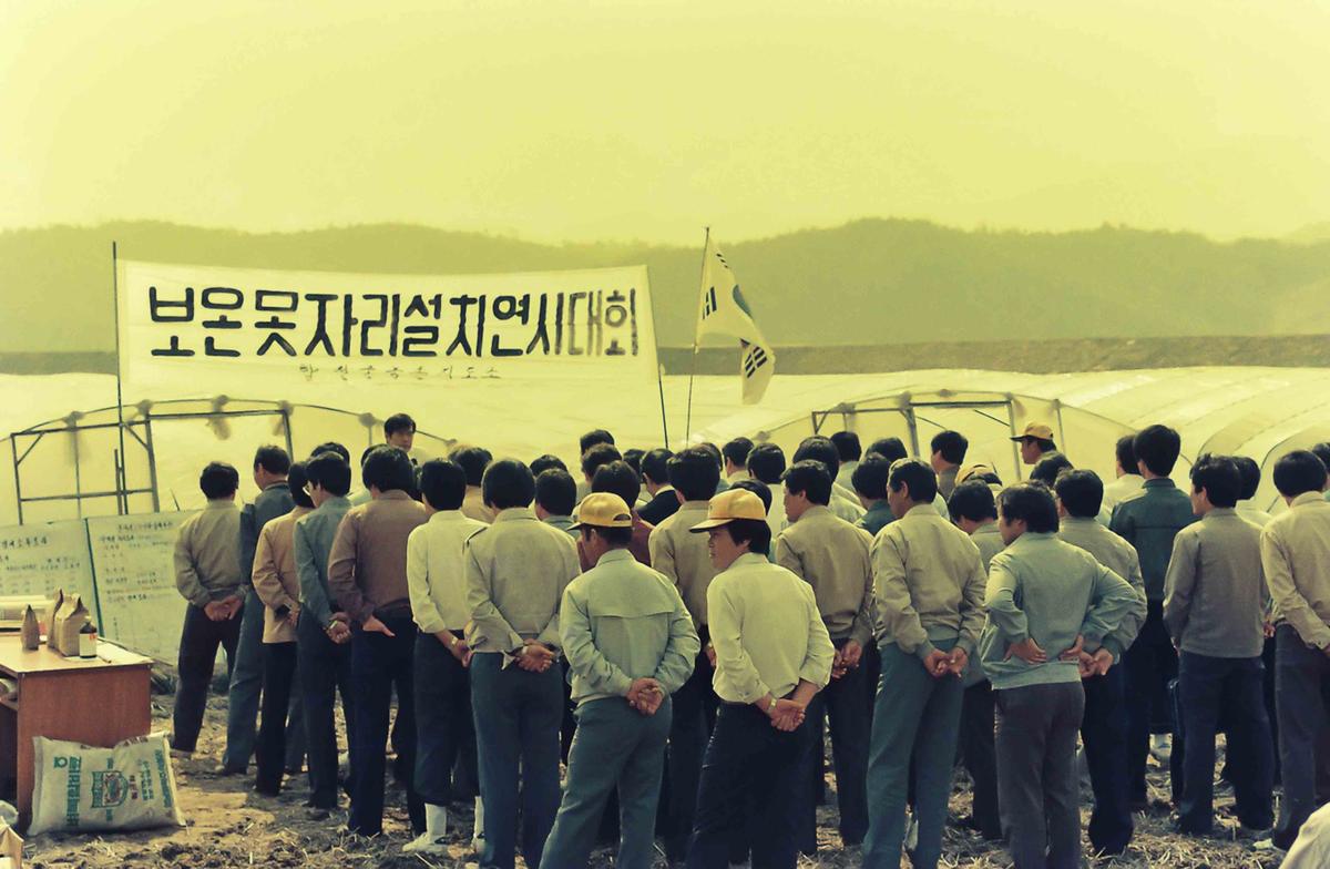 보온 못자리 설치연시대회
