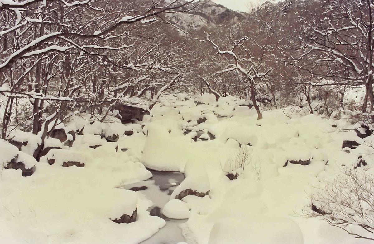 설경