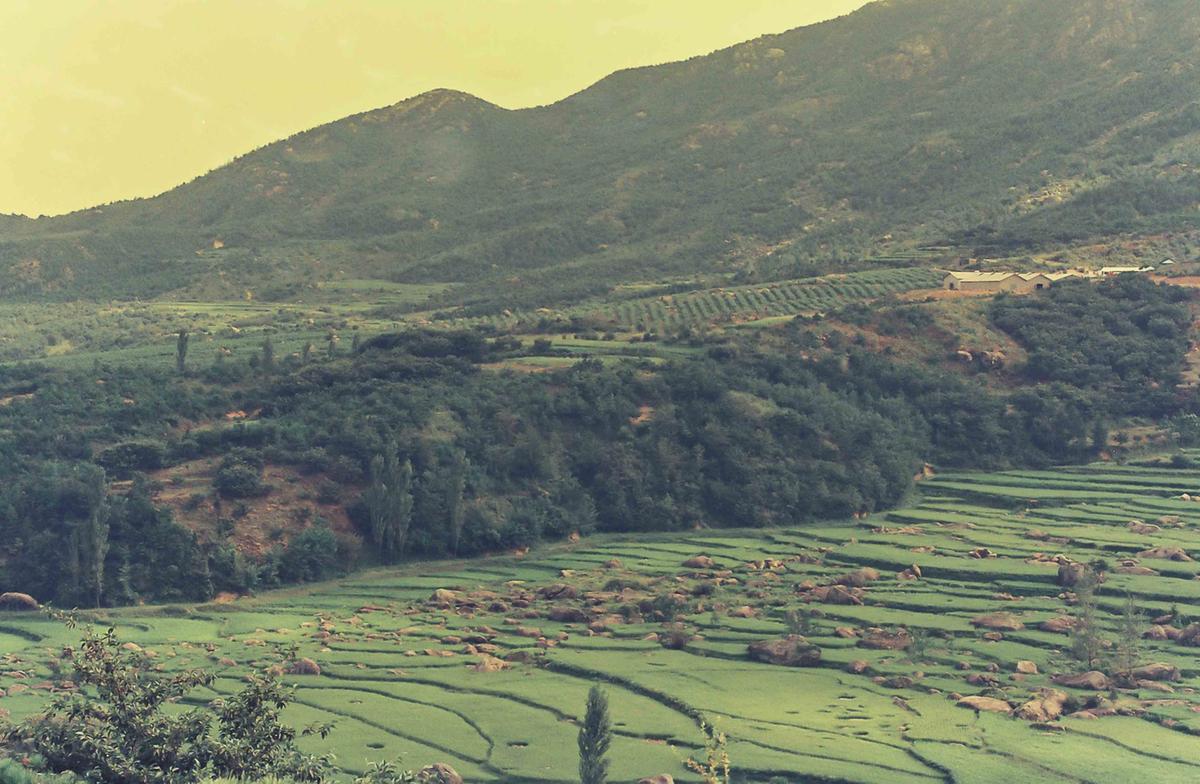 풍경