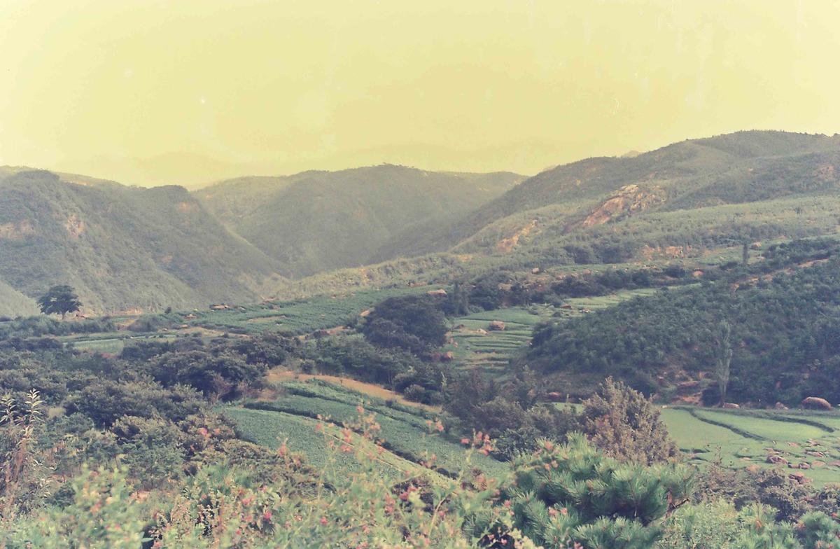 풍경