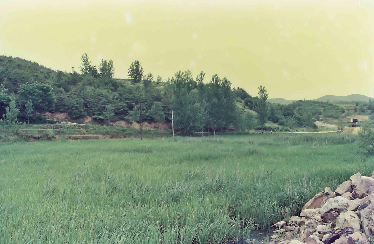 풍경
