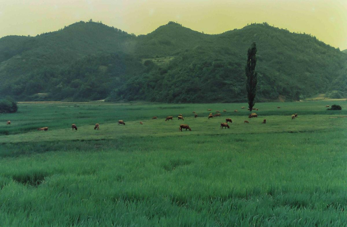 풍경