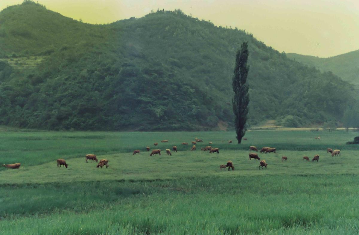 풍경