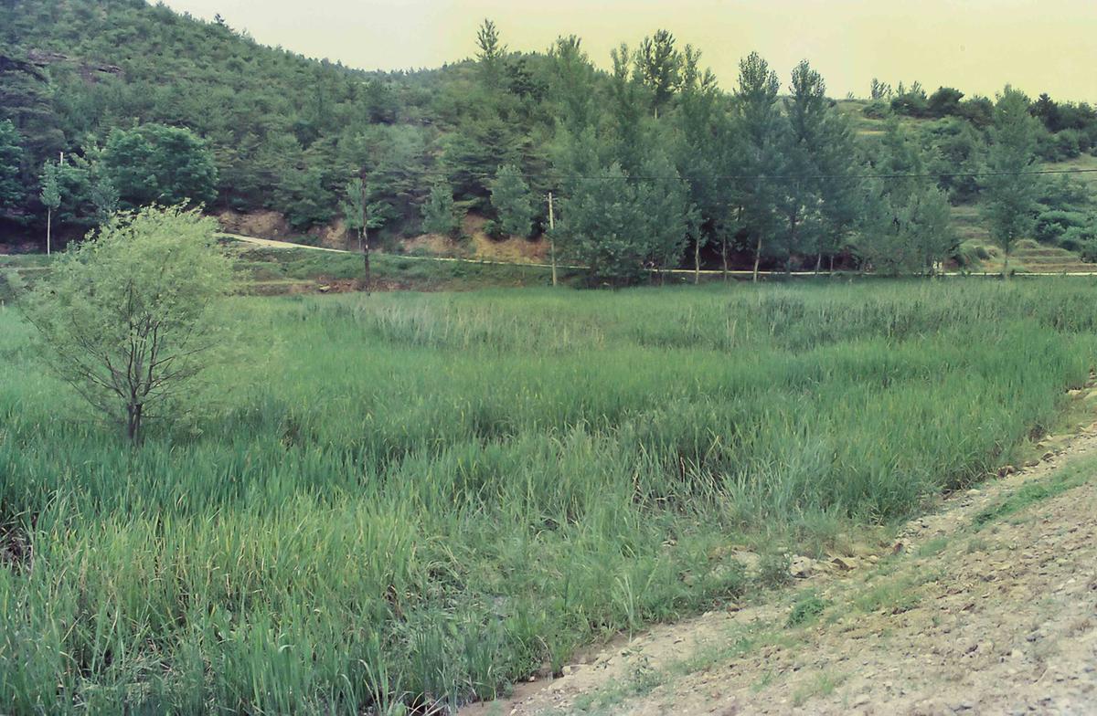 풍경