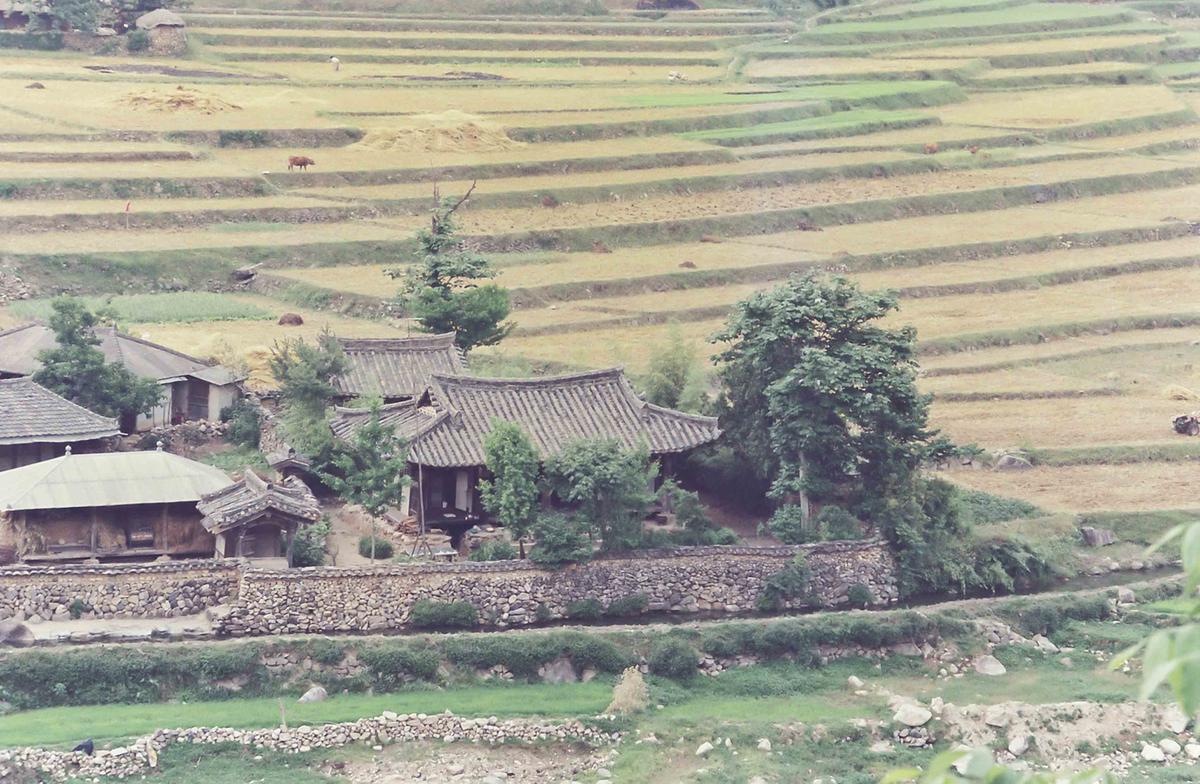 풍경