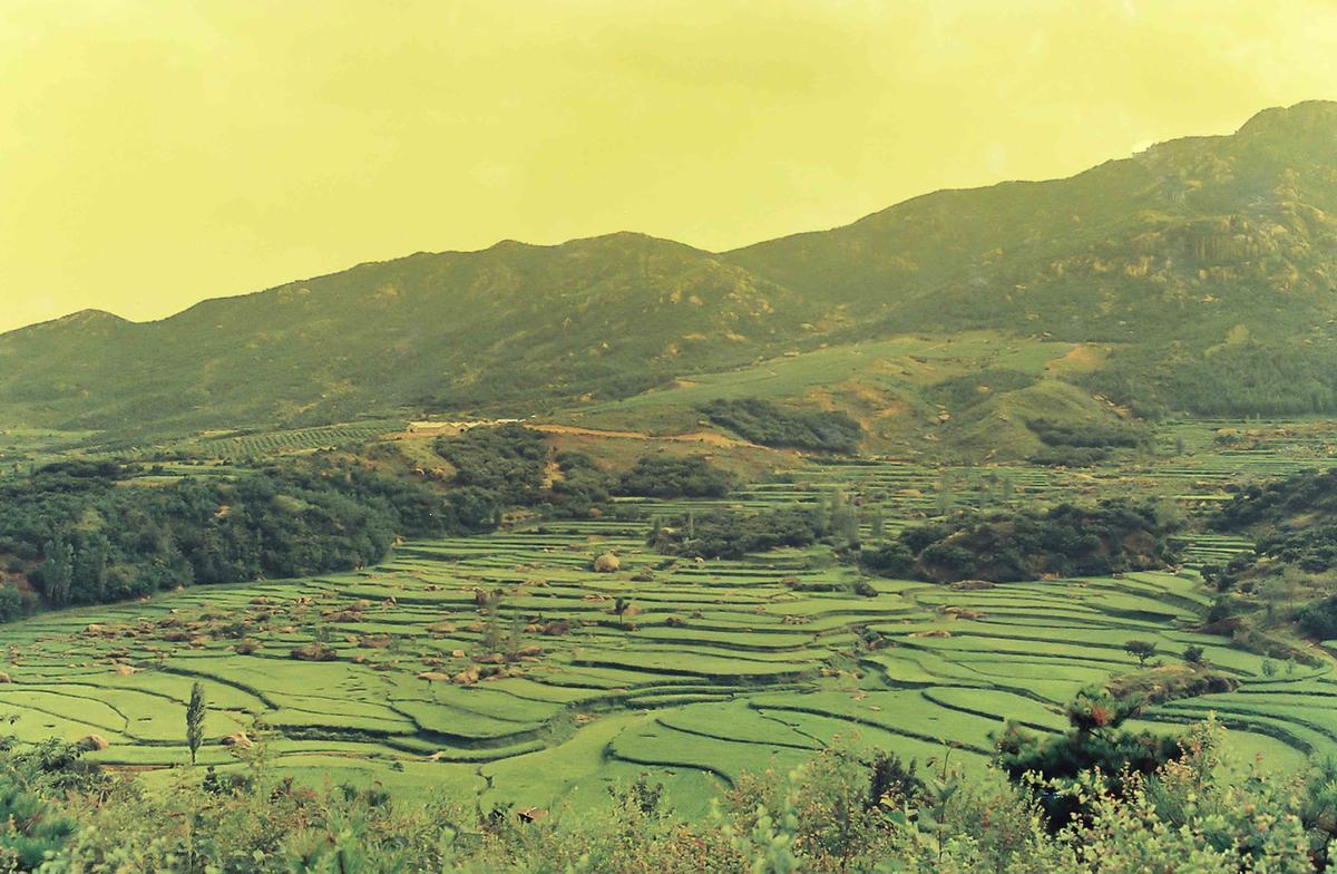 풍경